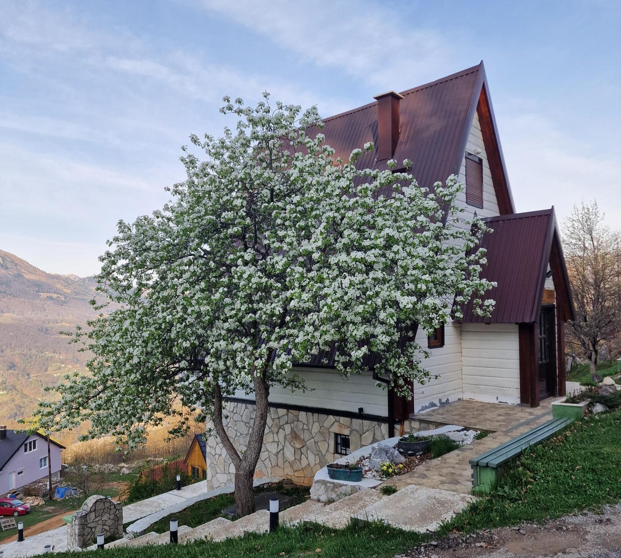 Apartmani Vukomanovo Mojkovac Kültér fotó